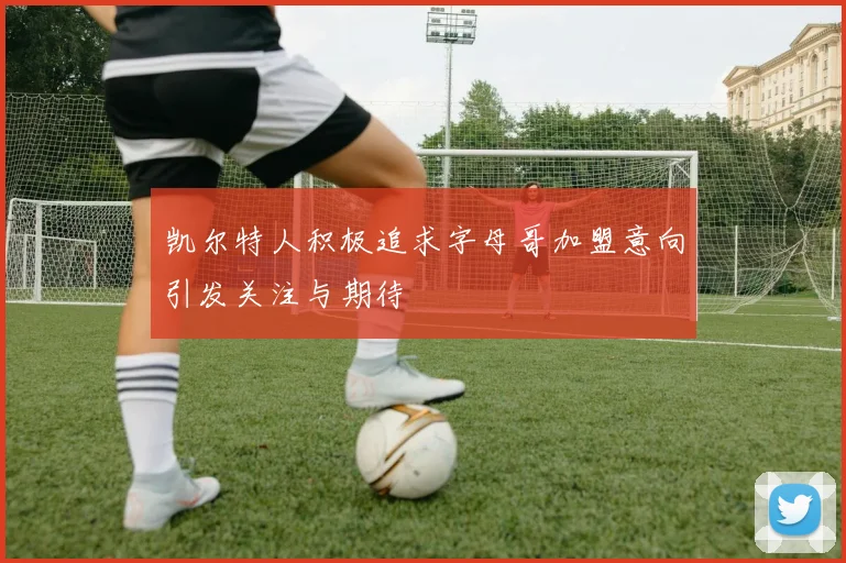 凯尔特人积极追求字母哥加盟意向引发关注与期待