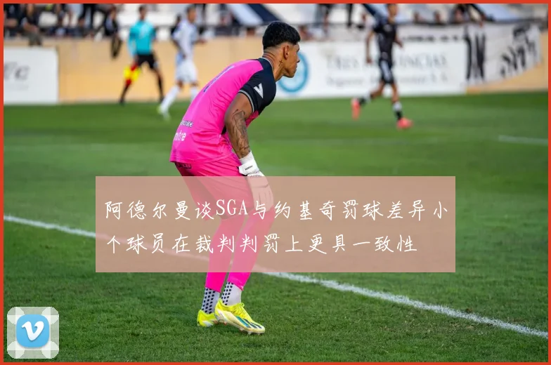 阿德尔曼谈SGA与约基奇罚球差异小个球员在裁判判罚上更具一致性