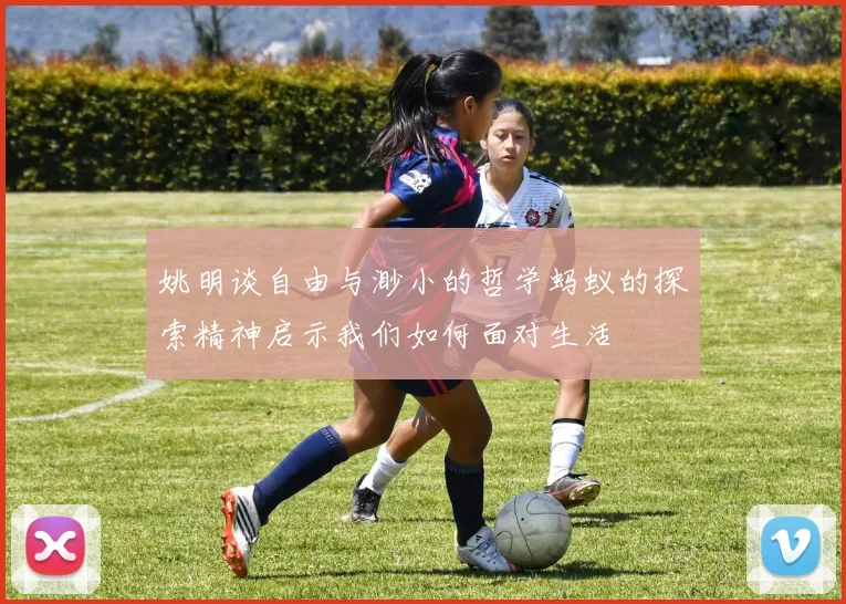 姚明谈自由与渺小的哲学蚂蚁的探索精神启示我们如何面对生活