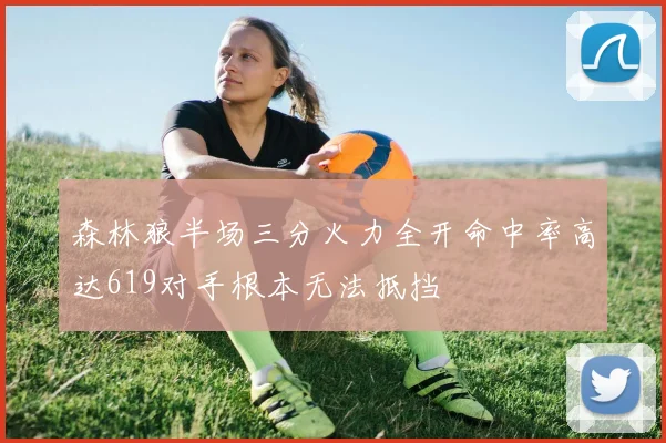 森林狼半场三分火力全开命中率高达619对手根本无法抵挡